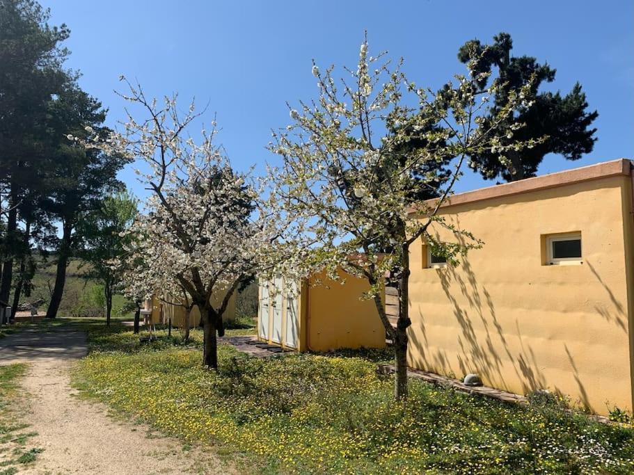 B&B Helga'S Agricampeggio Seùlo Exteriör bild